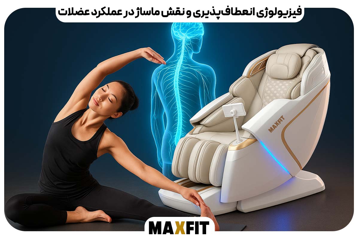 فیزیولوژی انعطاف‌پذیری و نقش ماساژ در عملکرد عضلات