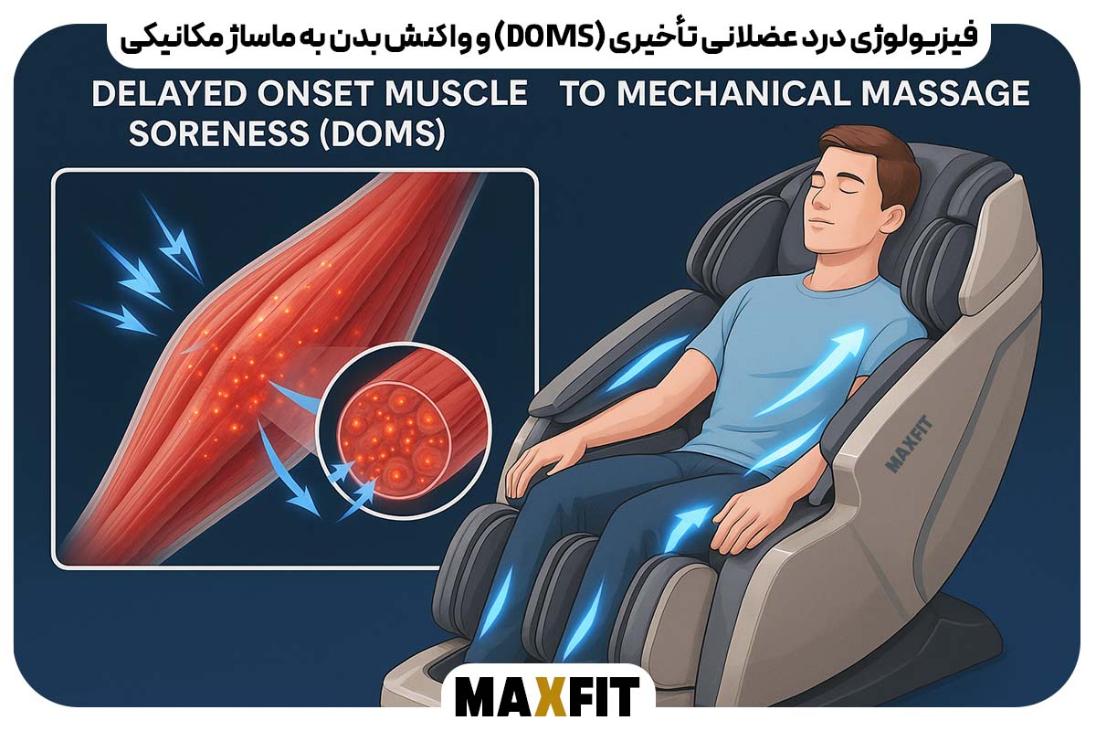 فیزیولوژی درد عضلانی تأخیری (DOMS) و واکنش بدن به ماساژ مکانیکی