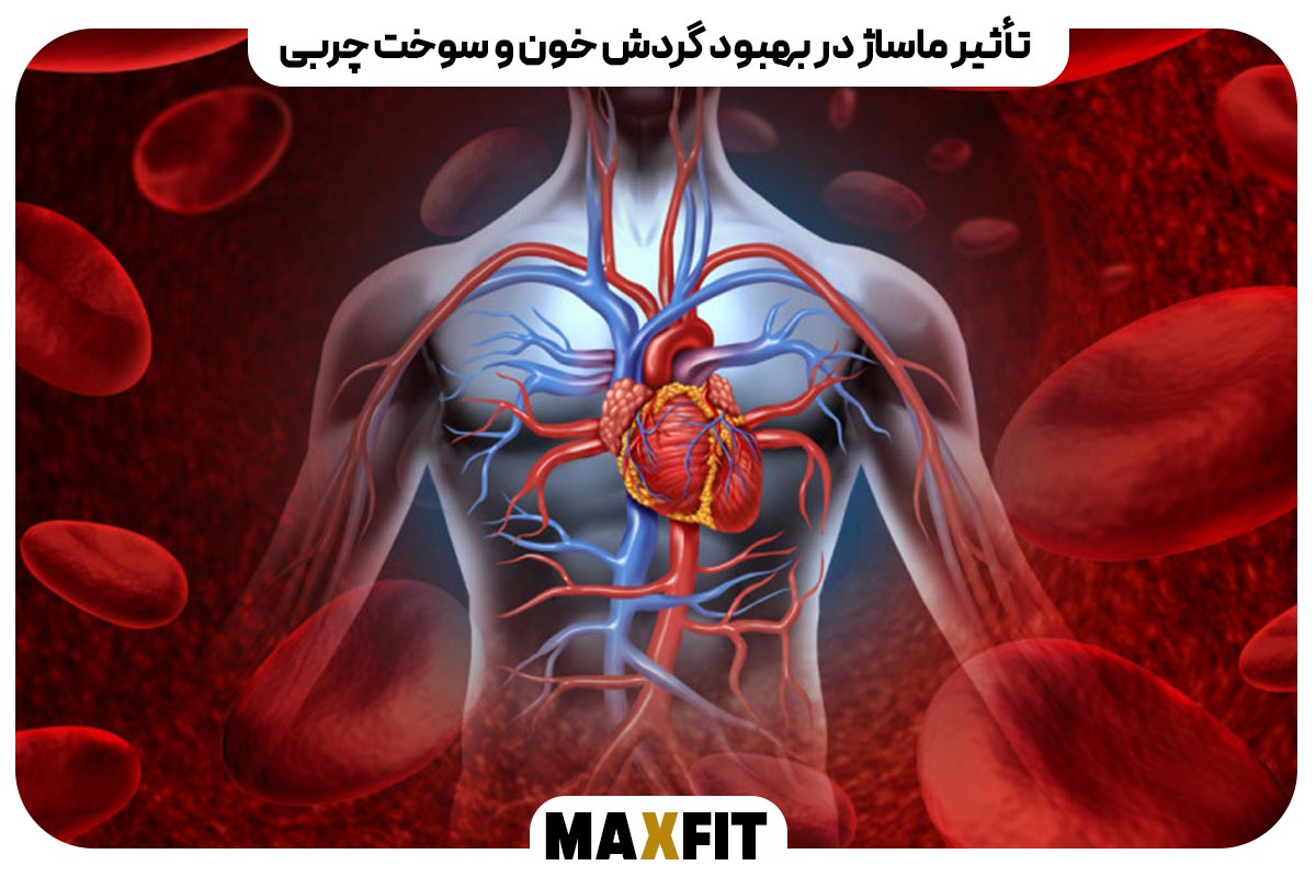 تأثیر ماساژ در بهبود گردش خون و سوخت چربی