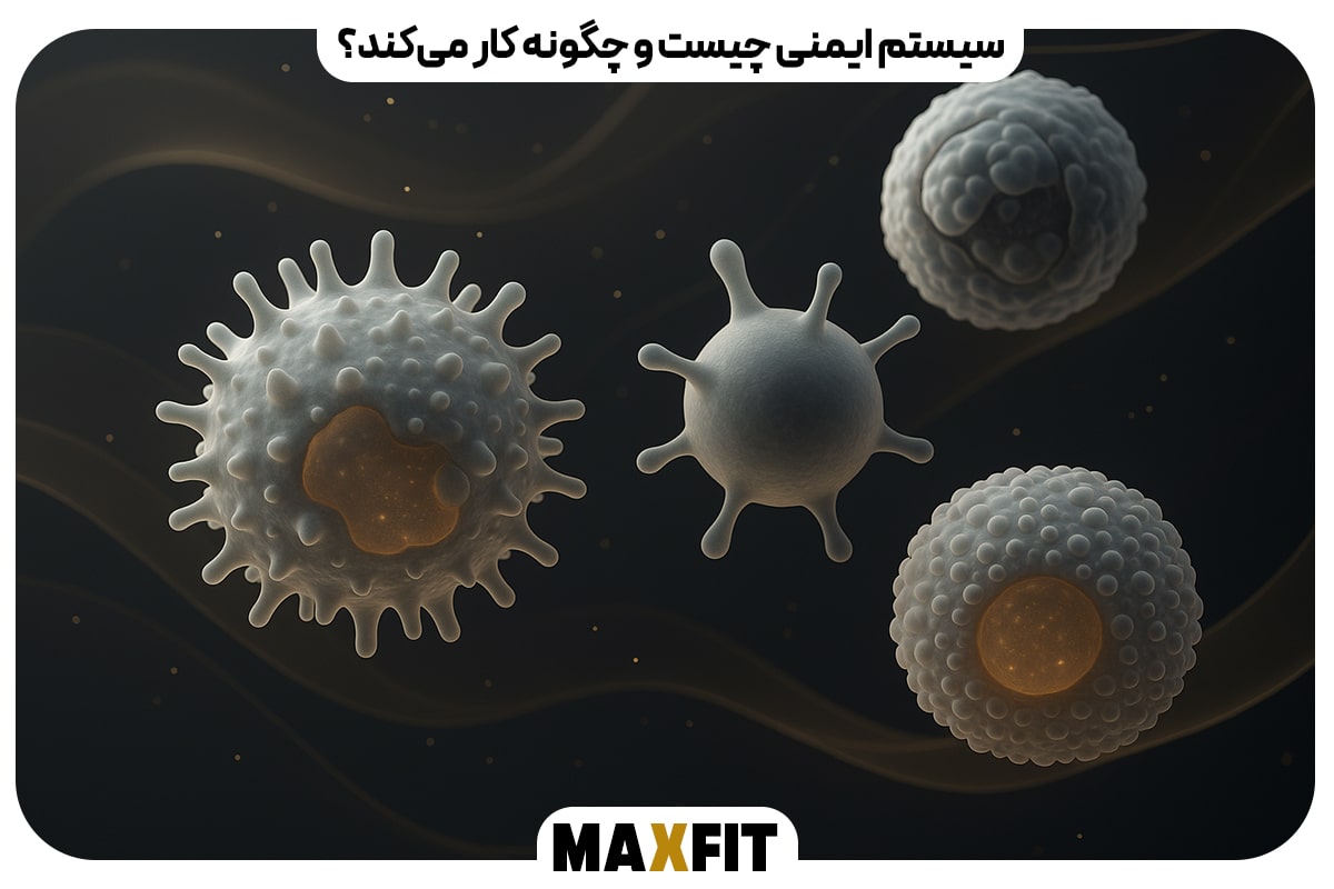 سیستم ایمنی چیست و چگونه کار می کند؟