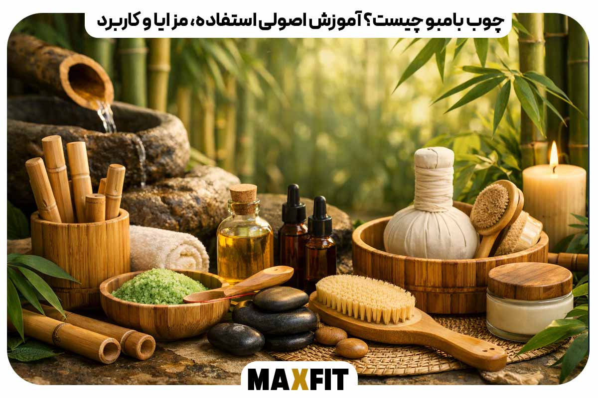 What is bamboo wood? Basic instructions on use, benefits and applications