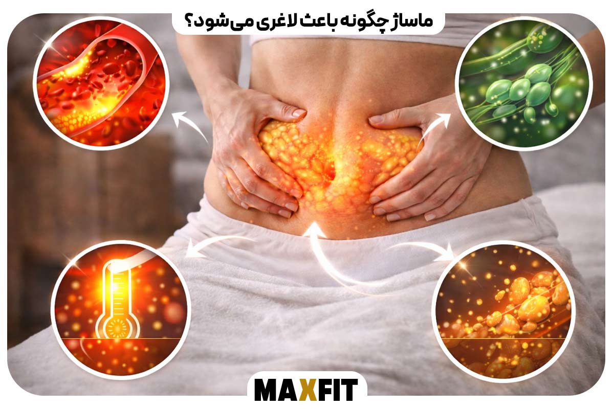 How does massage help you lose weight? 