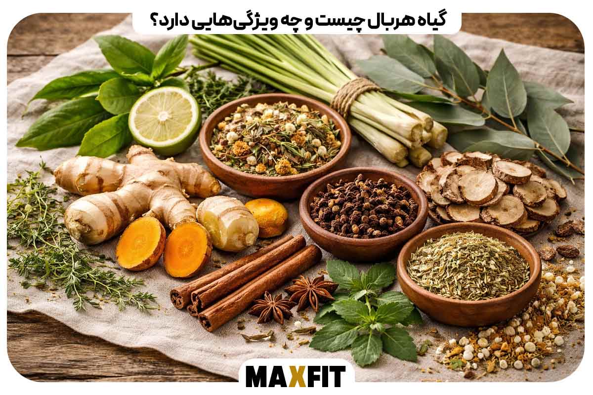 What is an herbal plant and what are its characteristics?