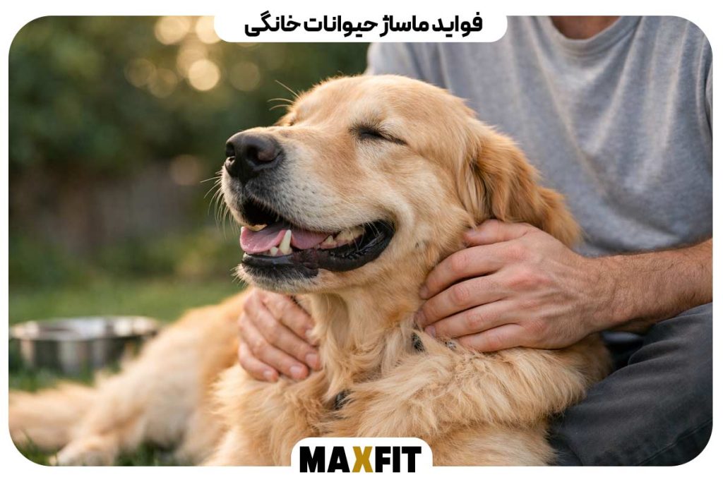 Benefits of pet massage