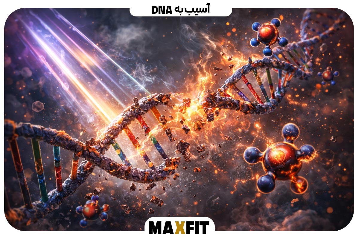 DNA damage