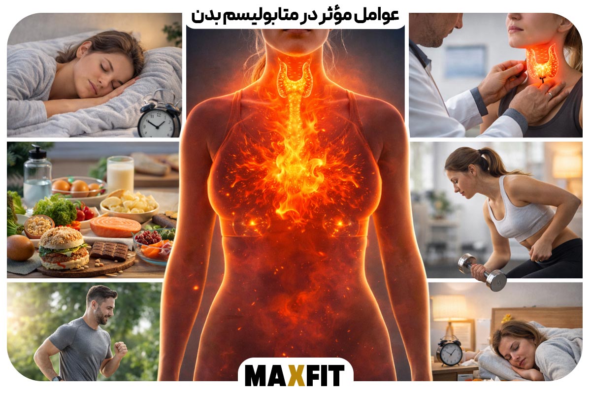 Factors affecting body metabolism