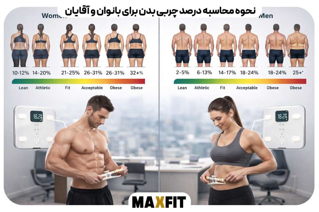 How to calculate body fat percentage for women and men