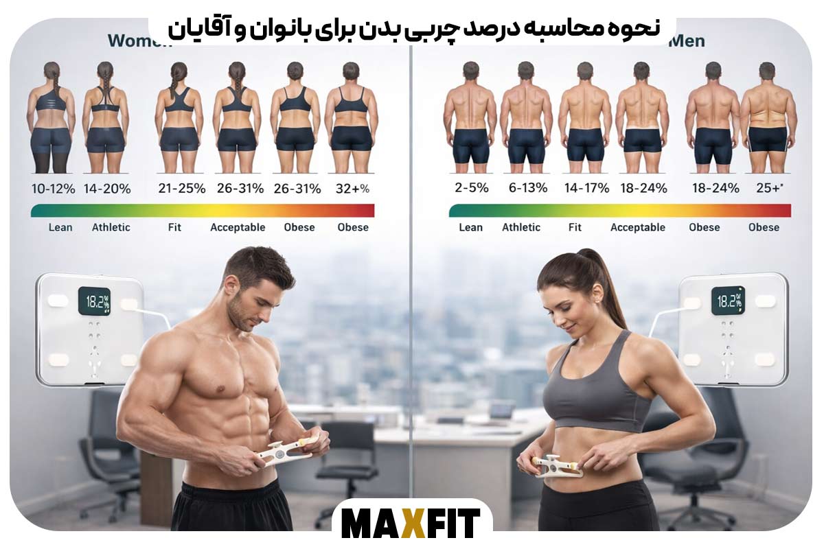 How to calculate body fat percentage for women and men
