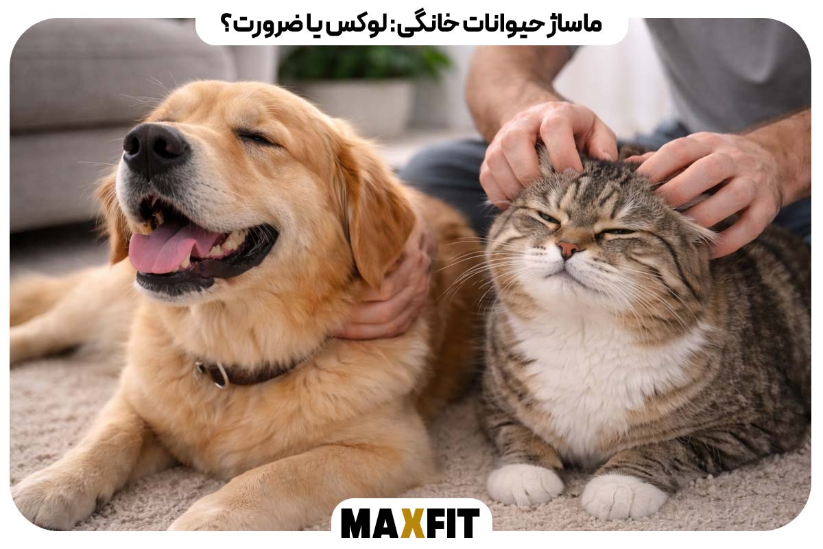 حیوانات
