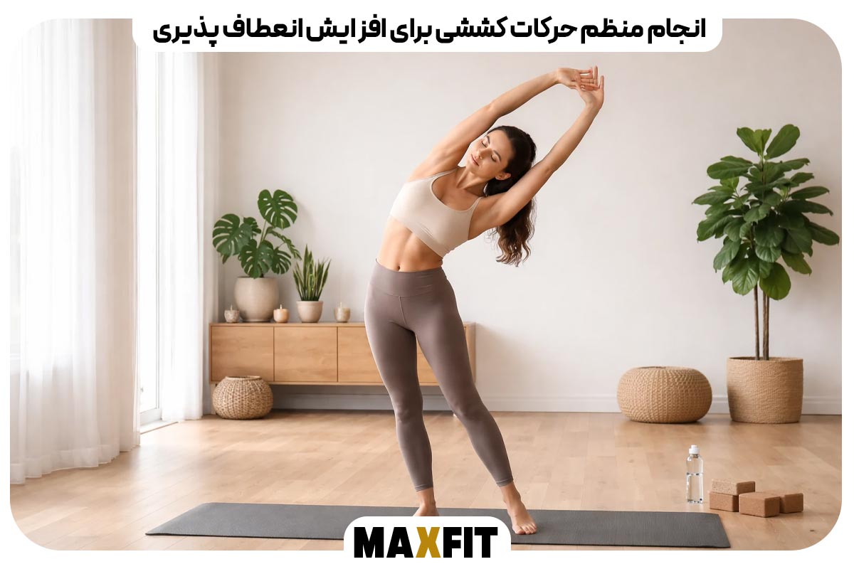 انعطاف پذیری