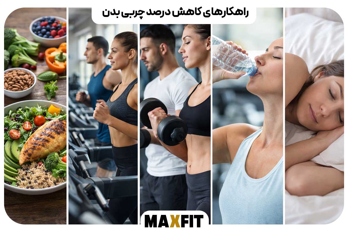 Strategies to reduce body fat percentage