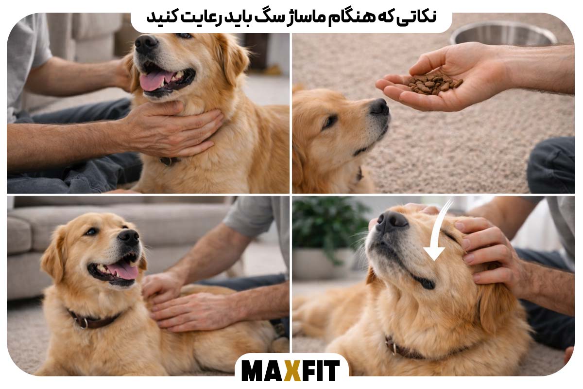 Things to keep in mind when massaging your dog:
