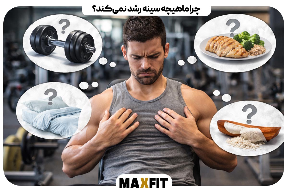 Why don't chest muscles grow