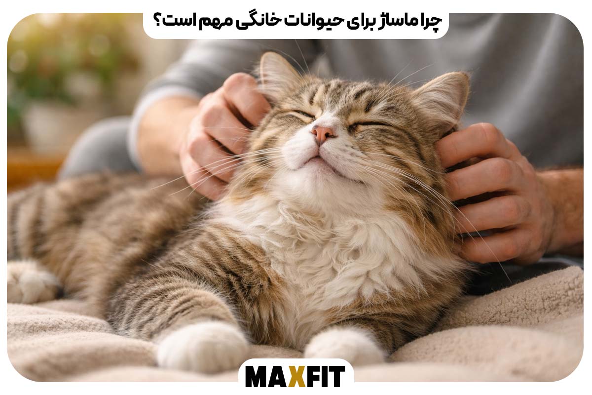 Why is massage important for pets?