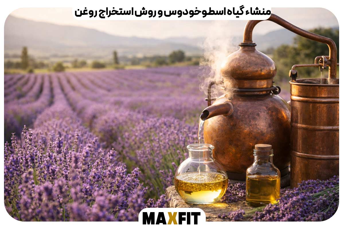 منشاء گیاه اسطوخودوس و روش استخراج روغن