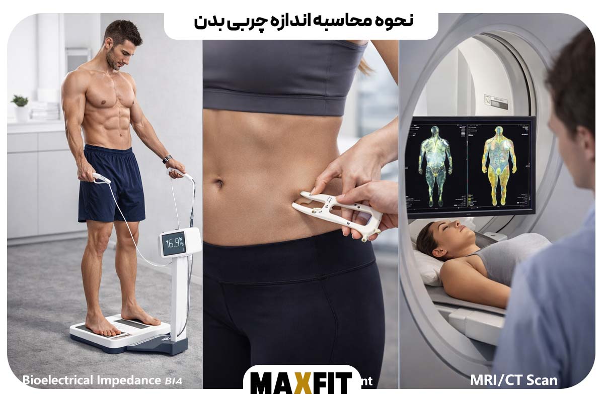 نحوه محاسبه اندازه چربی بدن