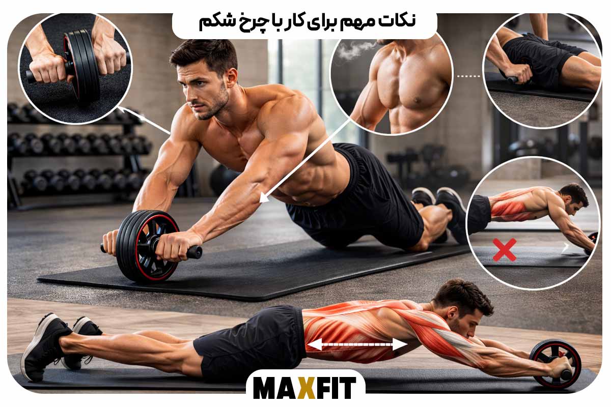نکات مهم برای کار با چرخ شکم