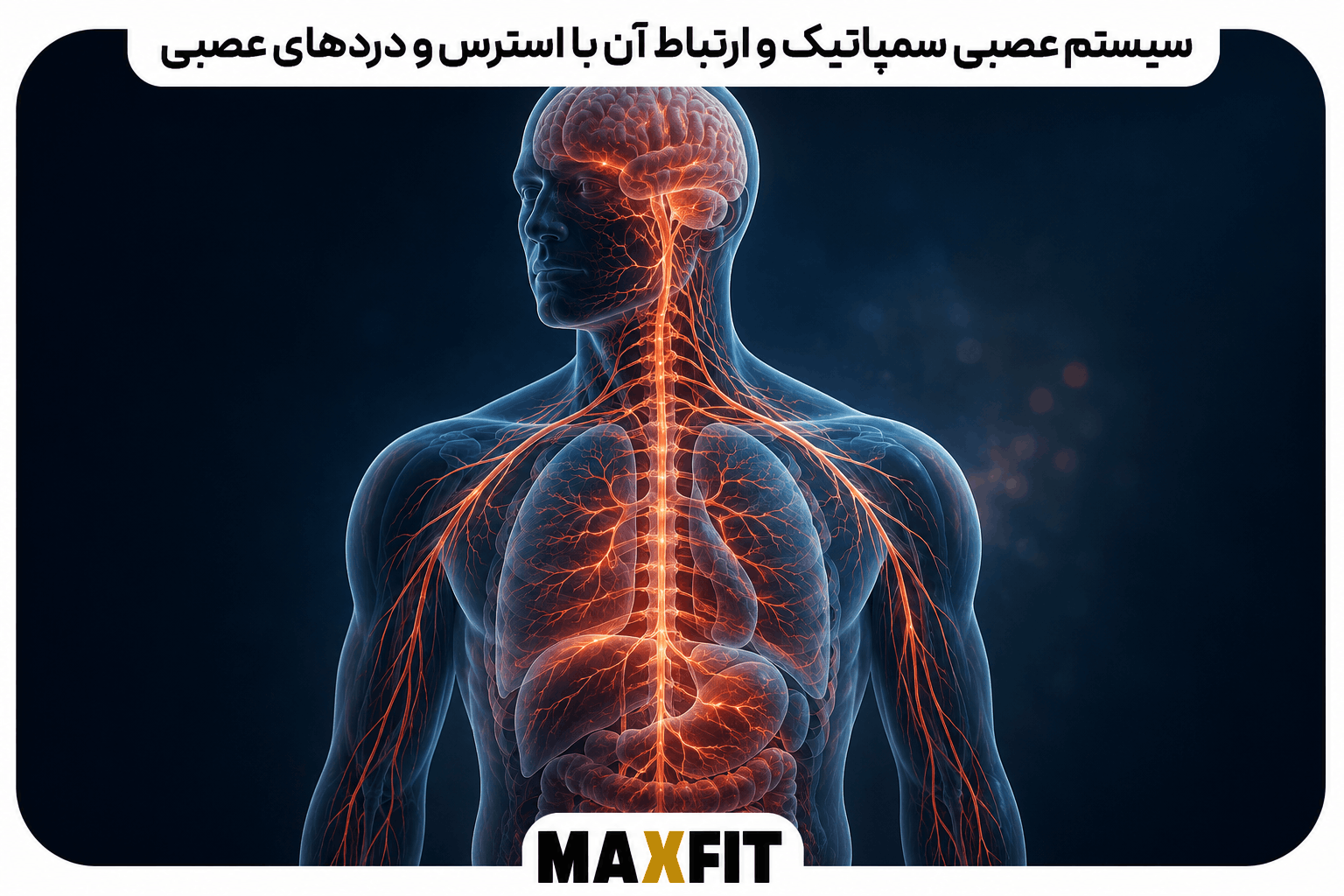 سیستم عصبی سمپاتیک و ارتباط آن با استرس و دردهای عصبی