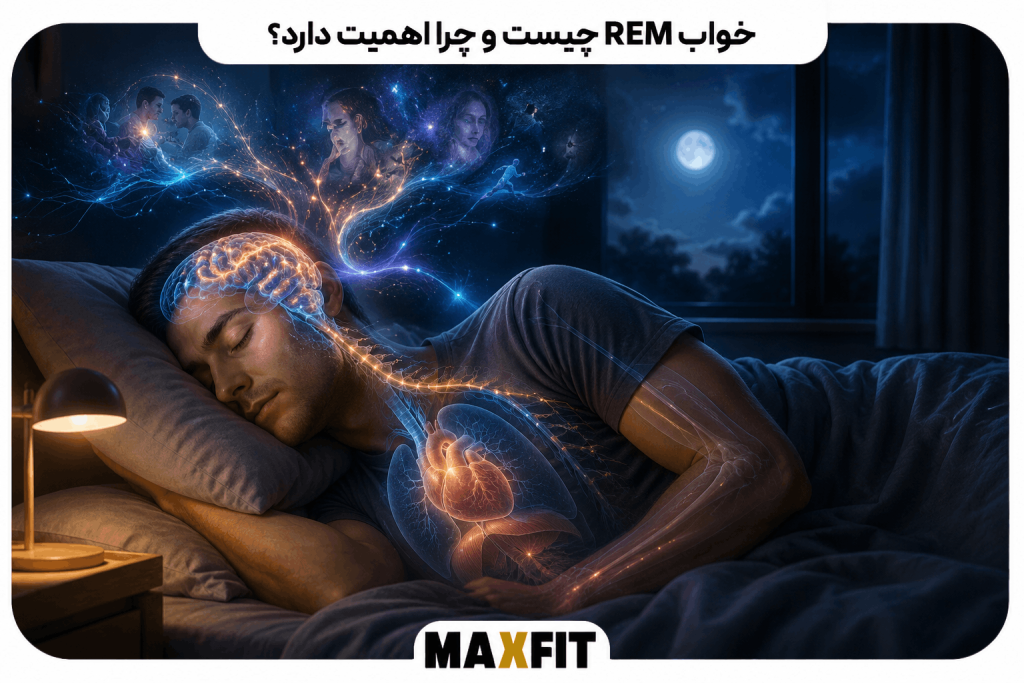 فردی در حال خواب REM با نمایش فعالیت مغز، رؤیا، سیستم عصبی، قلب و تنفس