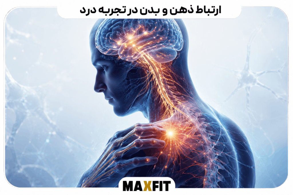 تصویر علمی ارتباط مغز، سیستم عصبی و بدن در تجربه درد فیزیکی و تأثیر احساسات بر شدت درد