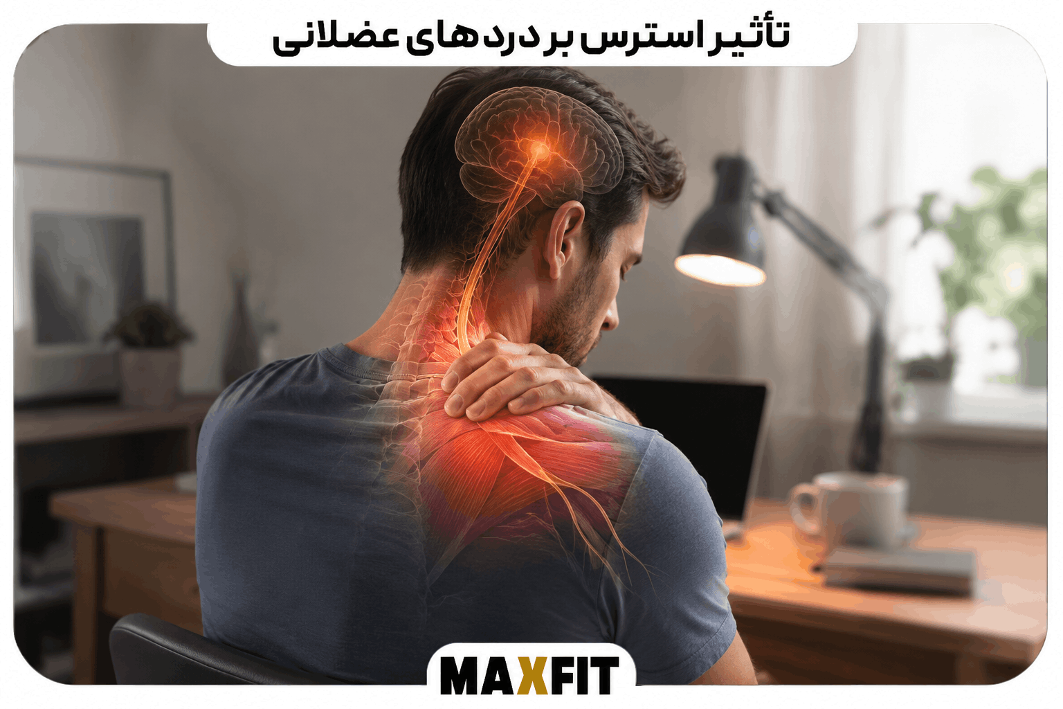 تأثیر استرس و فشار روانی بر گرفتگی عضلات گردن و شانه و ایجاد درد فیزیکی