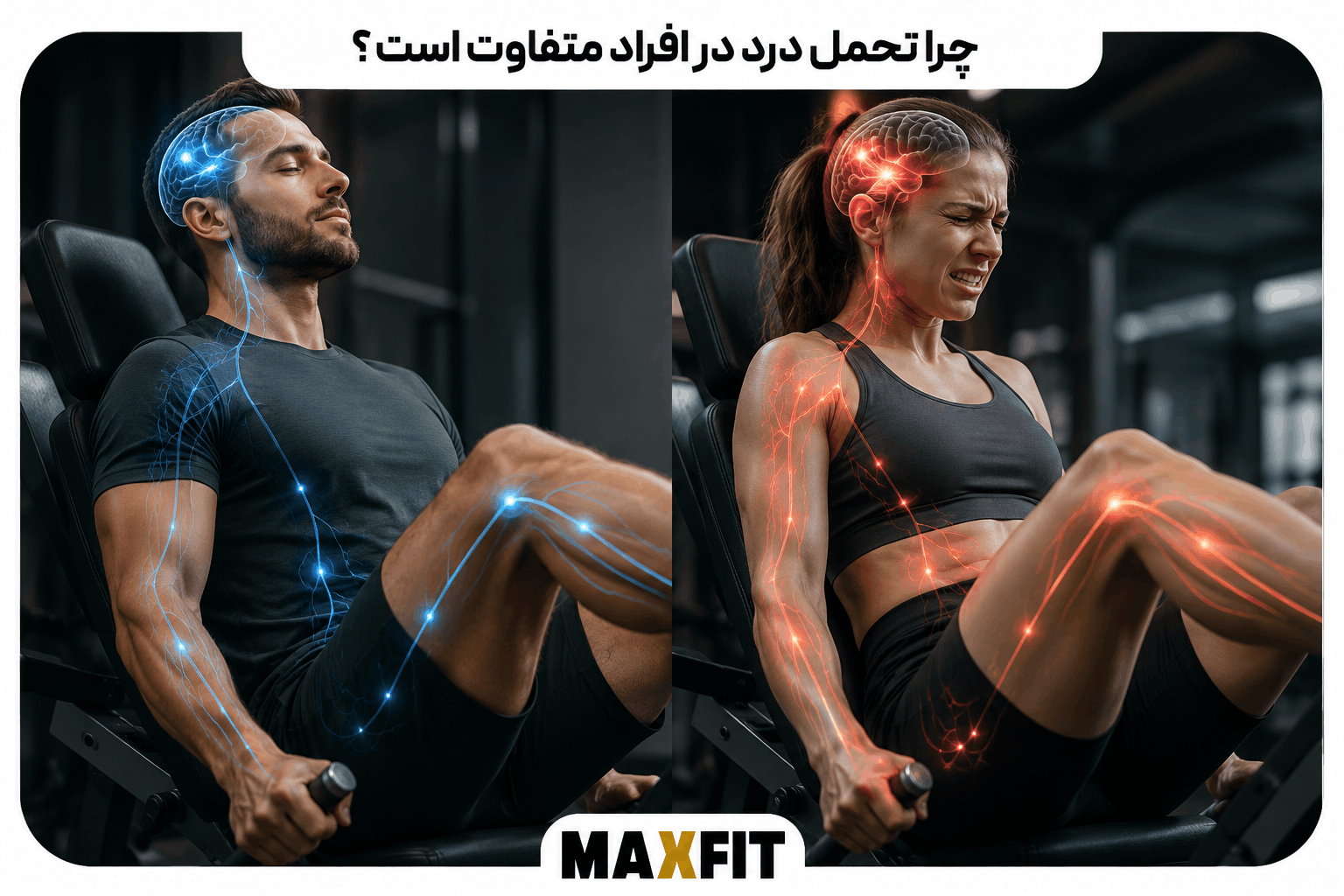 مقایسه تفاوت واکنش افراد به درد و نقش مغز و سیستم عصبی در تحمل درد