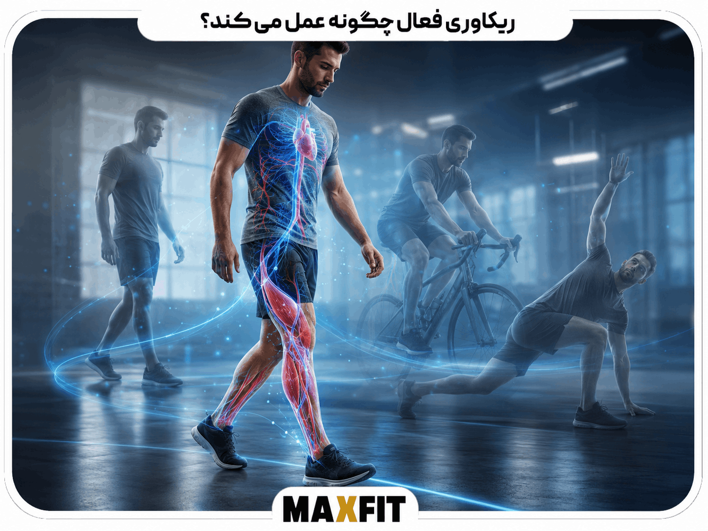 نمایش گردش خون و فعالیت عضلات پا هنگام ریکاوری فعال بعد از تمرین