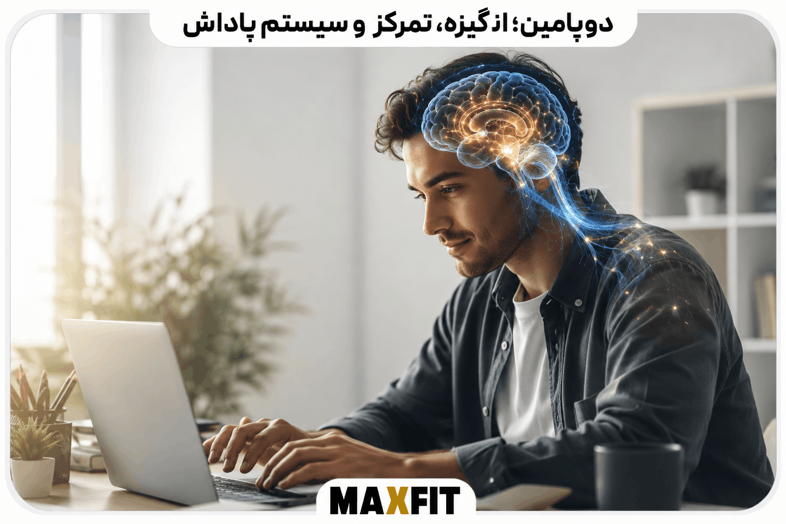 نمایش فعالیت مغز و ارتباط دوپامین با تمرکز، انگیزه، یادگیری و عملکرد ذهنی