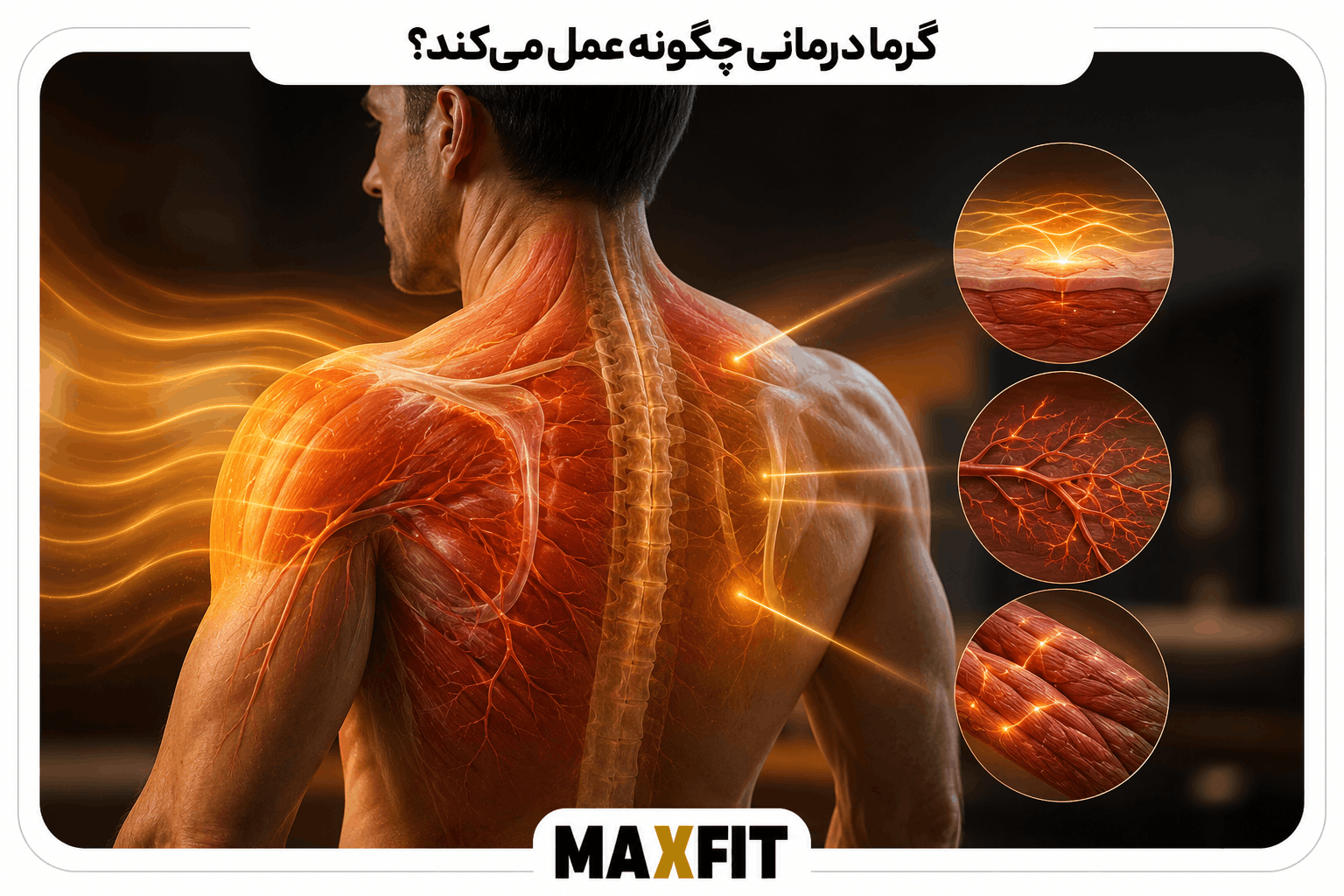 نمایش علمی تأثیر گرما درمانی بر گردش خون و کاهش تنش عضلات کمر و شانه
