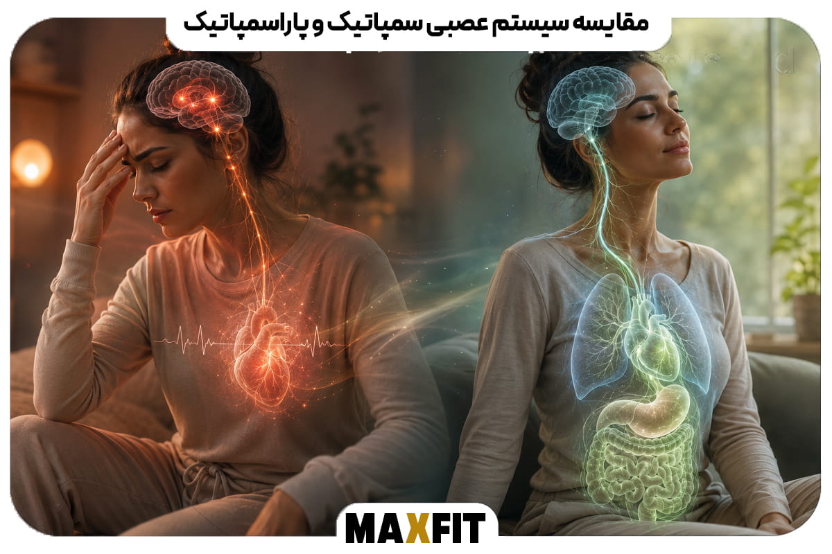 مقایسه یک زن در حالت استرس و تنش با همان زن در حالت آرامش و فعالشدن سیستم عصبی پاراسمپاتیک