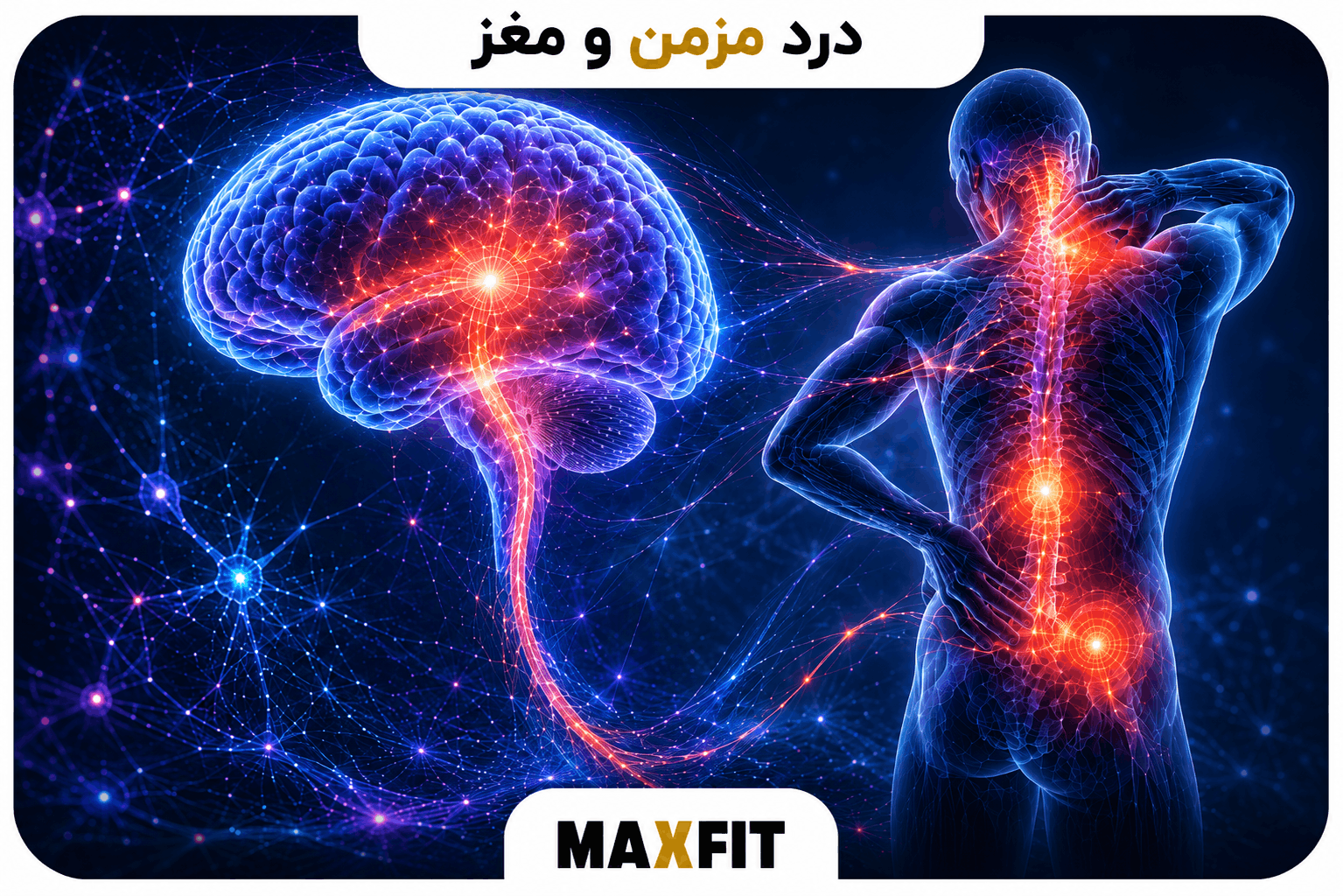 درد مزمن چگونه روی مغز اثر میگذارد