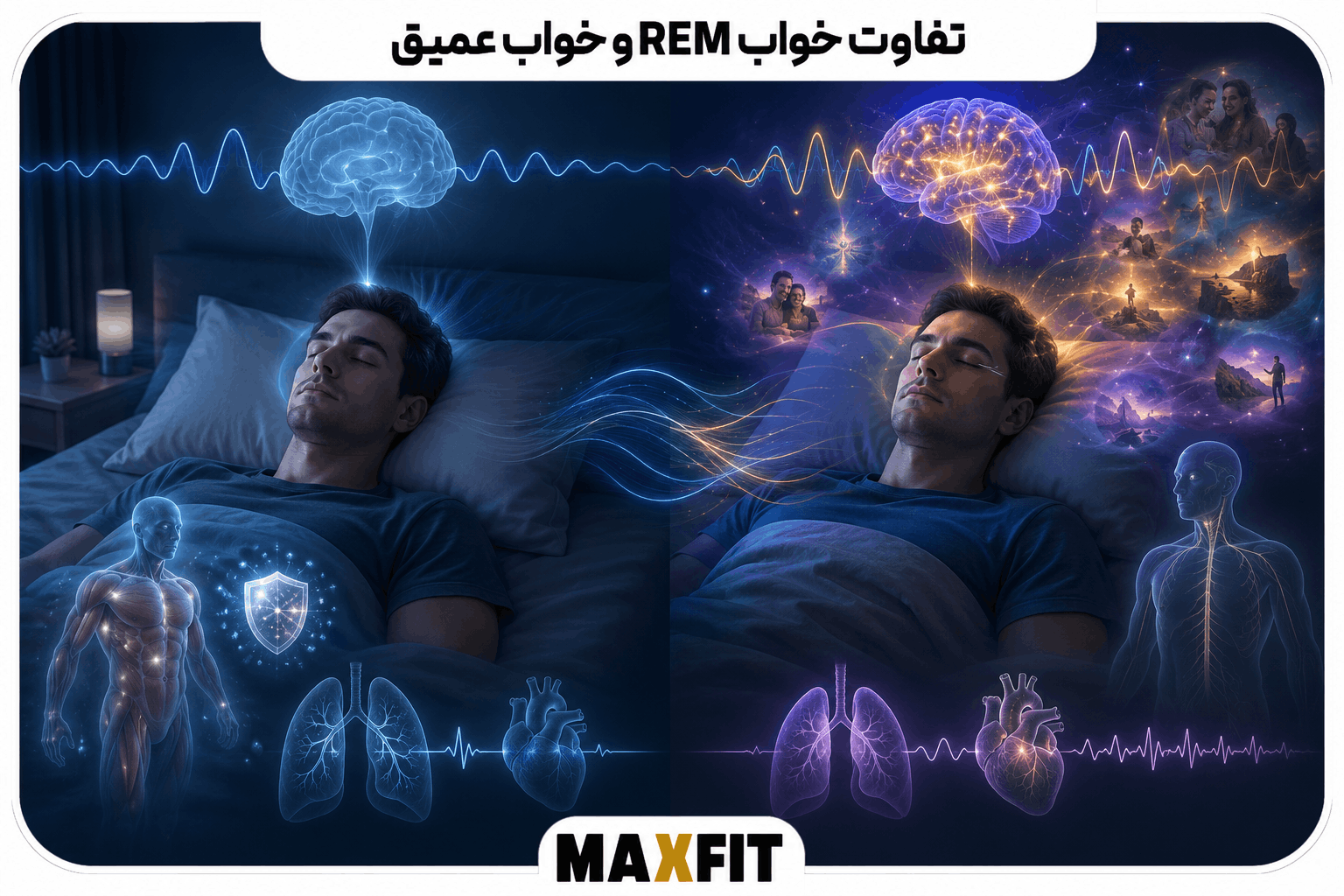 مقایسه خواب REM و خواب عمیق از نظر فعالیت مغز، رؤیا، تنفس، ضربان قلب و وضعیت عضلات