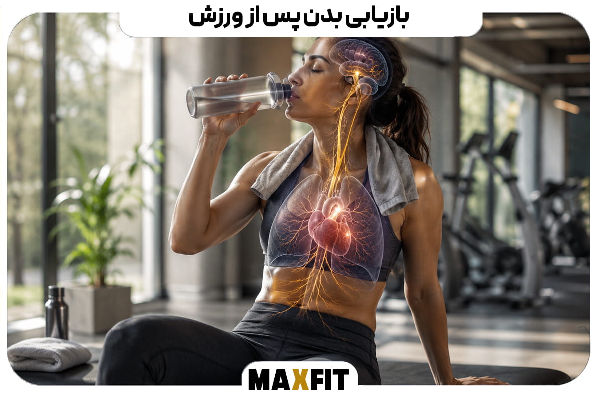 زن ورزشکار در حال نوشیدن آب و استراحت پس از تمرین همراه با نمایش قلب، ریهها و عصب واگ