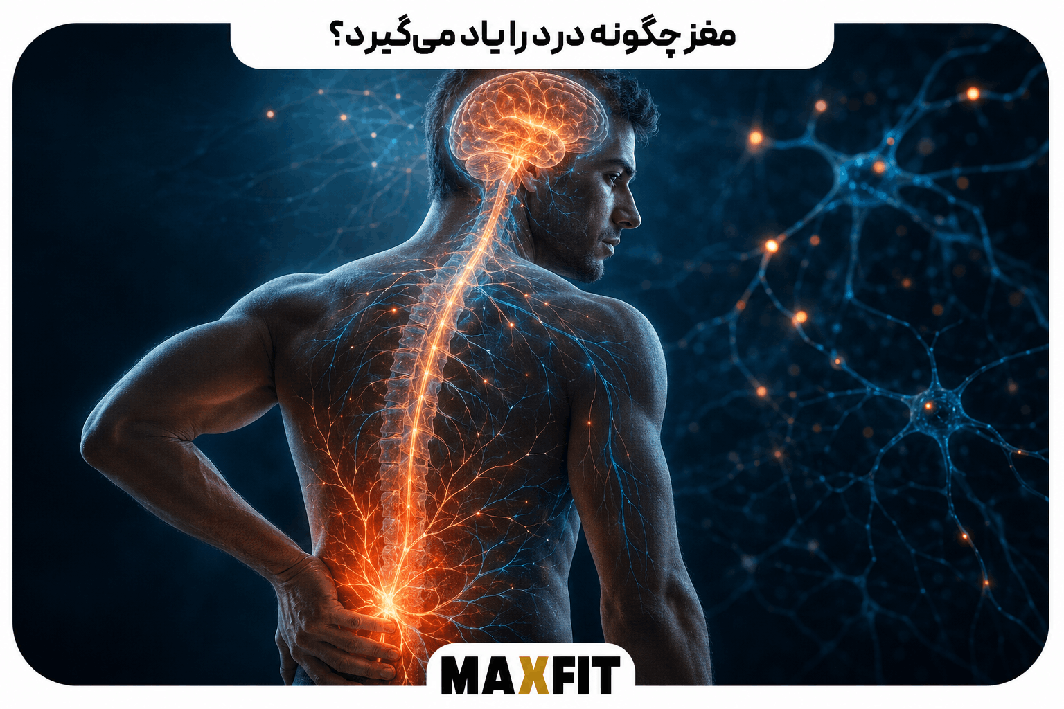 مغز چگونه درد را یاد میگیرد و مسیرهای عصبی درد چگونه فعال میشوند