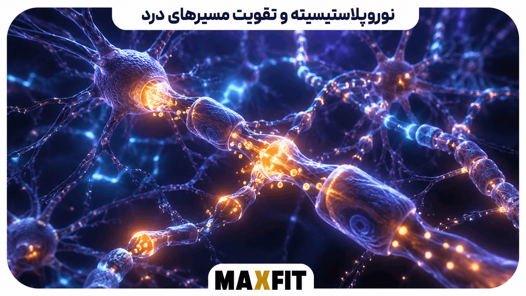 شبکه نورونها و سیناپسهای فعال نشاندهنده تقویت مسیرهای عصبی مرتبط با درد
